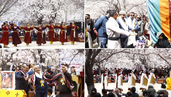 'Apricot Blossom Festival 2025 was celebrated with great enthusiasm in Ladak'